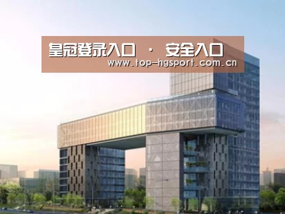案例展示四