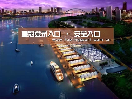 案例展示八