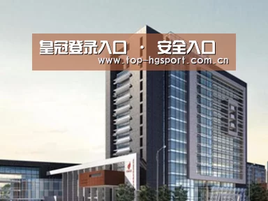 案例展示七