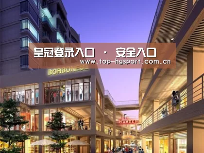 案例展示一