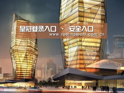 案例展示三