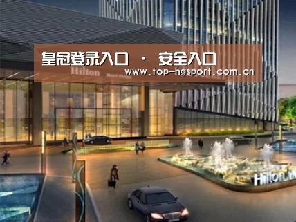 案例展示二