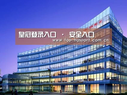 案例展示五