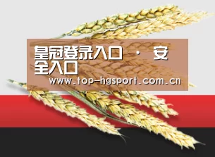 皇冠登录入口 · 安全入口