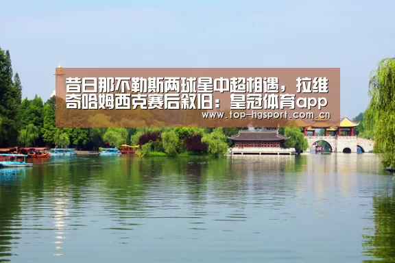 昔日那不勒斯两球星中超相遇,拉维奇哈姆西克赛后叙旧:皇冠体育app(图1) 皇冠体育app