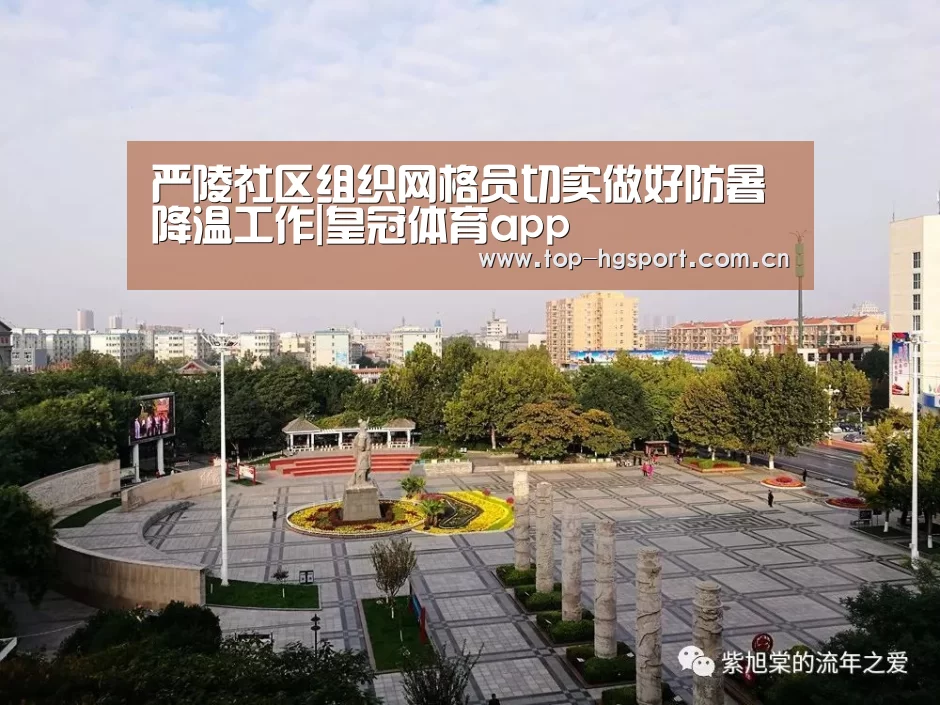严陵社区组织网格员切实做好防暑降温工作|皇冠体育app(图3) 皇冠体育网址