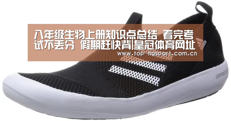 皇冠体育app