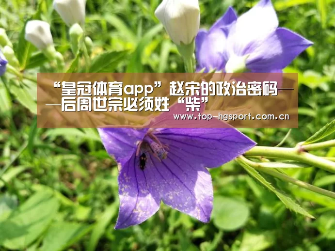 “皇冠体育app”赵宋的政治密码——后周世宗必须姓“柴”(图2) 皇冠体育网址