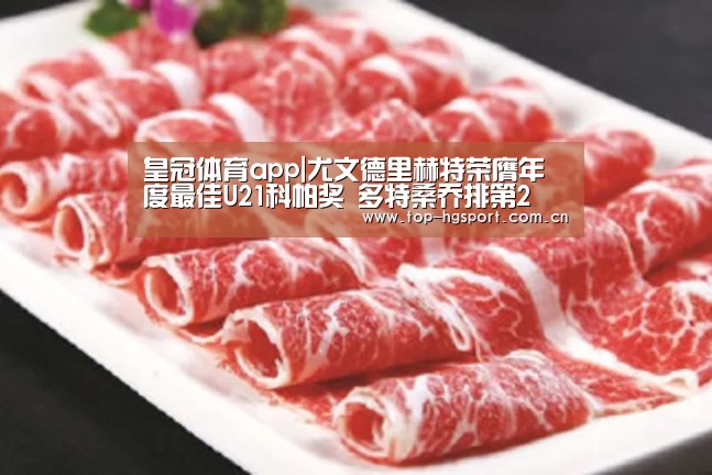 皇冠体育app|尤文德里赫特荣膺年度最佳U21科帕奖 多特桑乔排第2(图3) 皇冠体育网址
